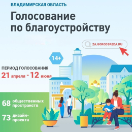 А ты проголосовал?